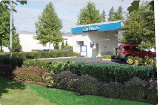Car Wash with Greenery