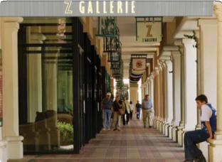Z Gallerie Store Front