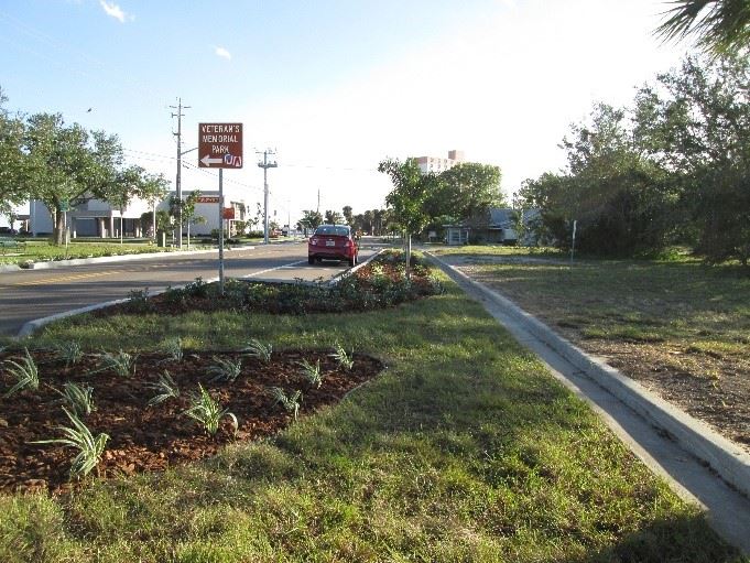 Photo of a curbed area of vegetation along a road.