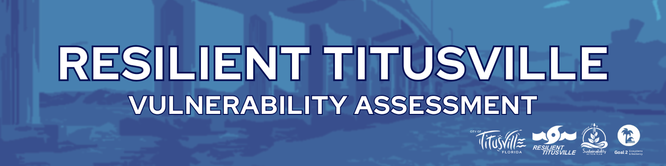 Vulnerability Assesment