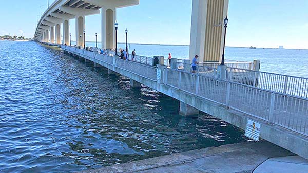 titusville-veterans-memorial-fishing-pier-small-pier