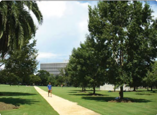 People on Sidewalk in the Park